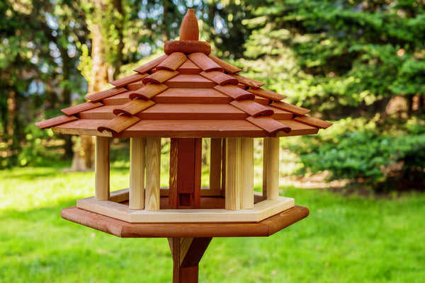 Bird shop feeder table
