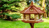 SISKIN Exclusive WOODEN BIRD FEEDER